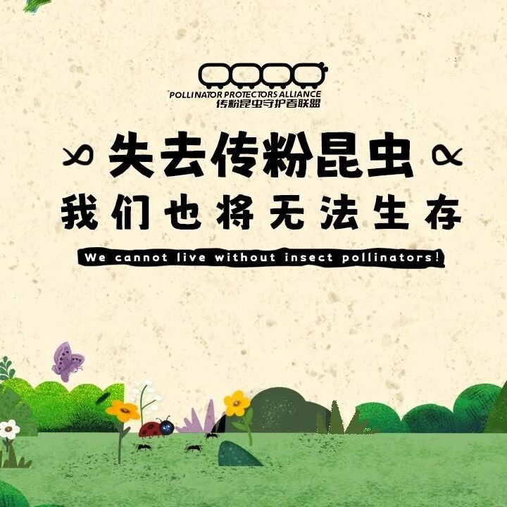 市场洞察 - 浩华联合发起｜传粉昆虫守护者联盟（PPA）正式成立
