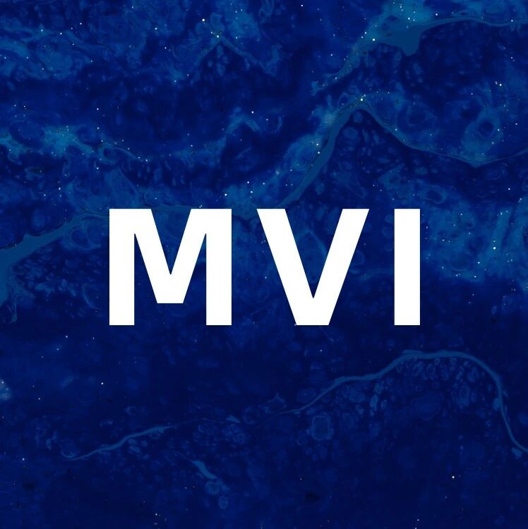 行研报告 - 厚海发布｜MVI·2022年中国酒店市场价值指数三十城榜单