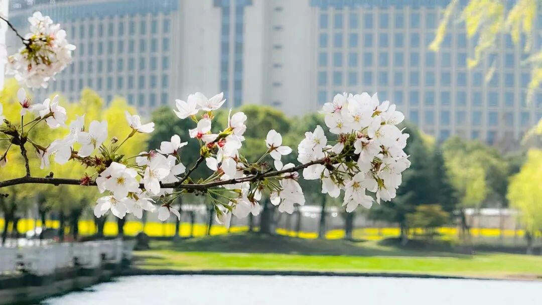 南京分數線2020_2024年南京醫科大學錄取分數線（所有專業分數線一覽表公布）_南京分數線