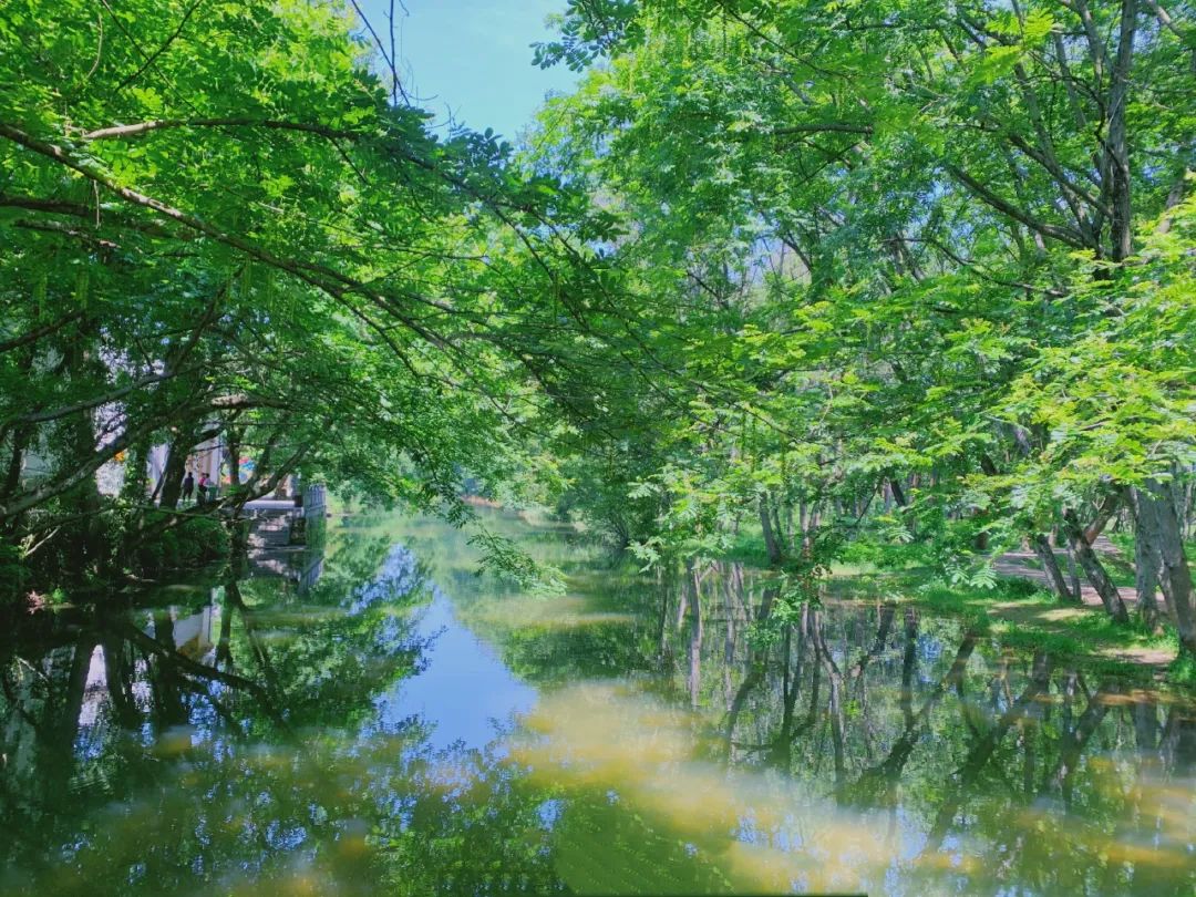 杭州1.5h直達「小九寨」，躺看雲海山色、帶娃住進《臥虎藏龍》的武俠世界，解鎖N種夏天小眾玩法！ 旅遊 第51張