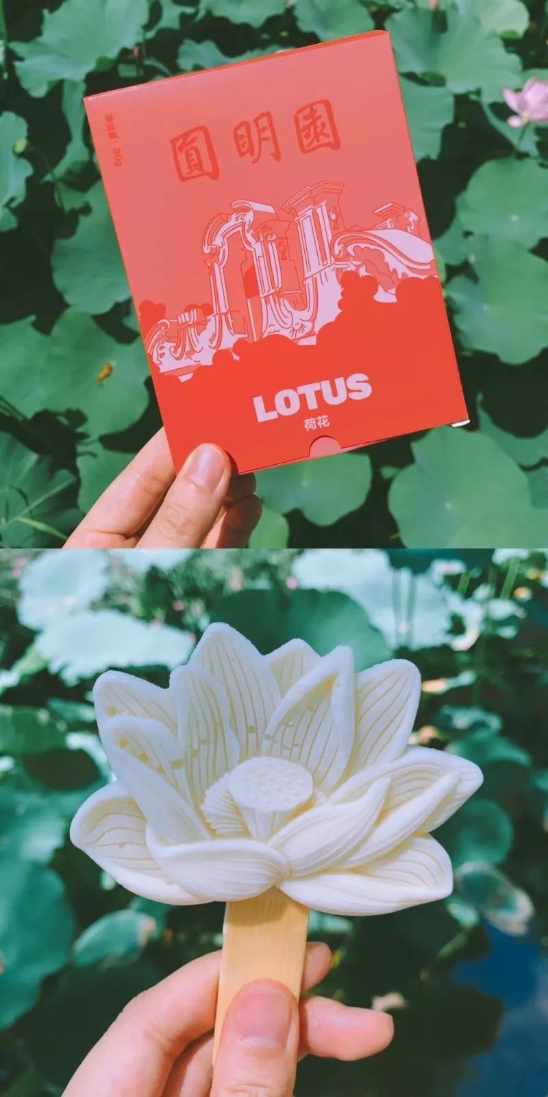 上海易初莲花 卜蜂莲花总部_普法栏目剧莲花闹海堂_莲花堂