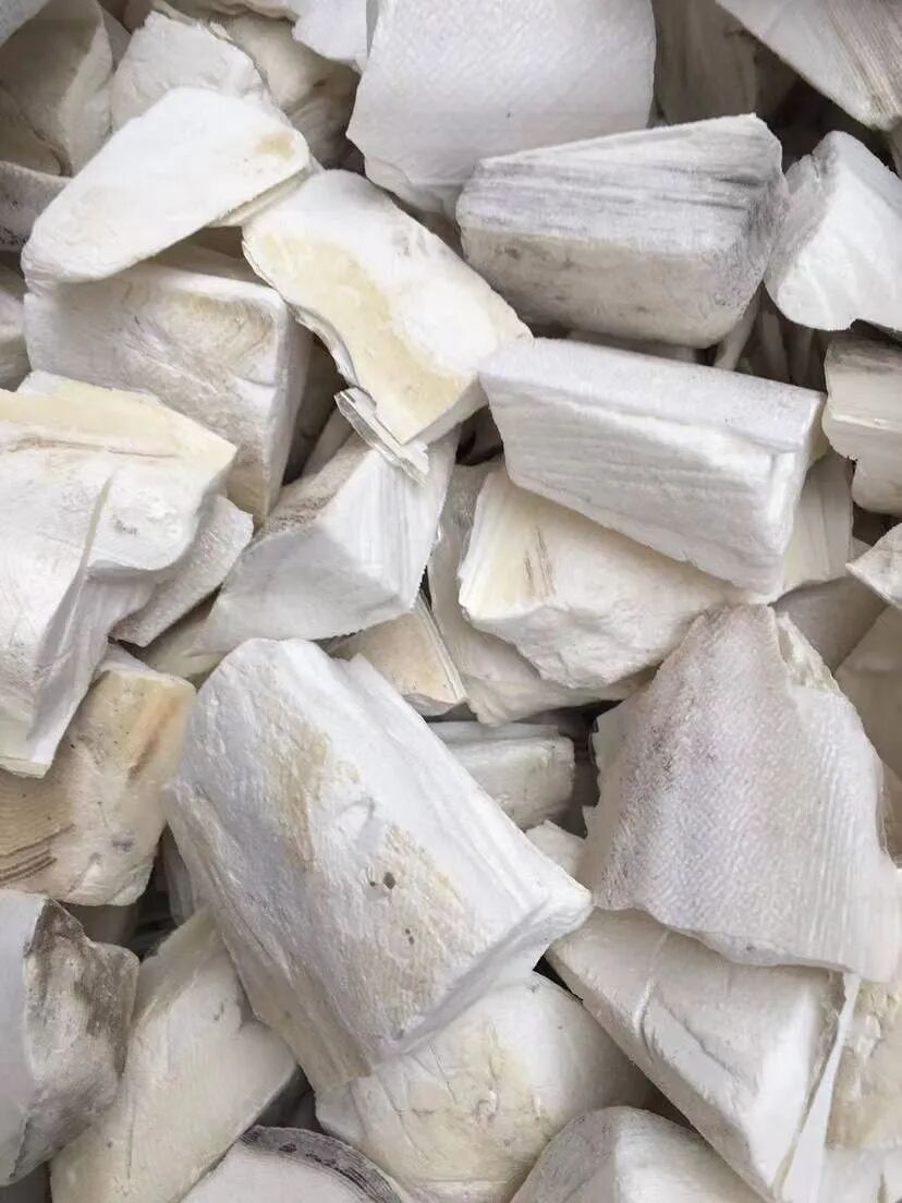 海什么止血【每周中药】教你认识“海螵蛸”，收敛止血，固精止带！_https://www.jmylbn.com_新闻资讯_第6张