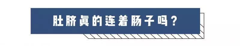 肚臍眼到底能不能摳？看完才發現被騙了這麼多年 親子 第3張