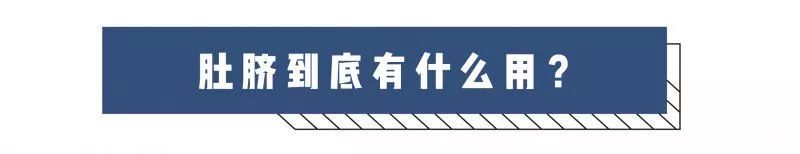 肚臍眼到底能不能摳？看完才發現被騙了這麼多年 親子 第5張