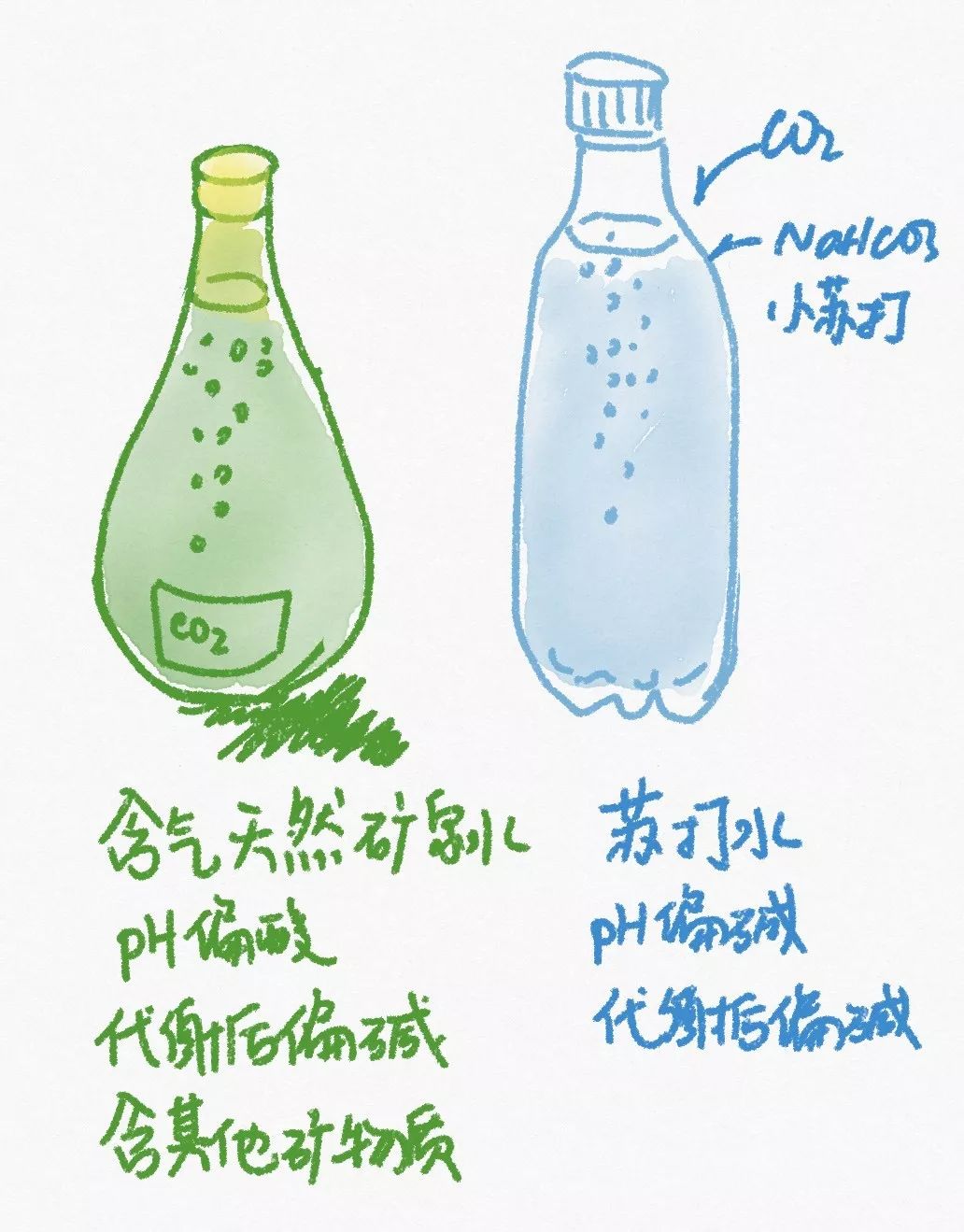 【科普營養】夏天喝水怎麼選？氣泡水？蘇打水？ 健康 第4張