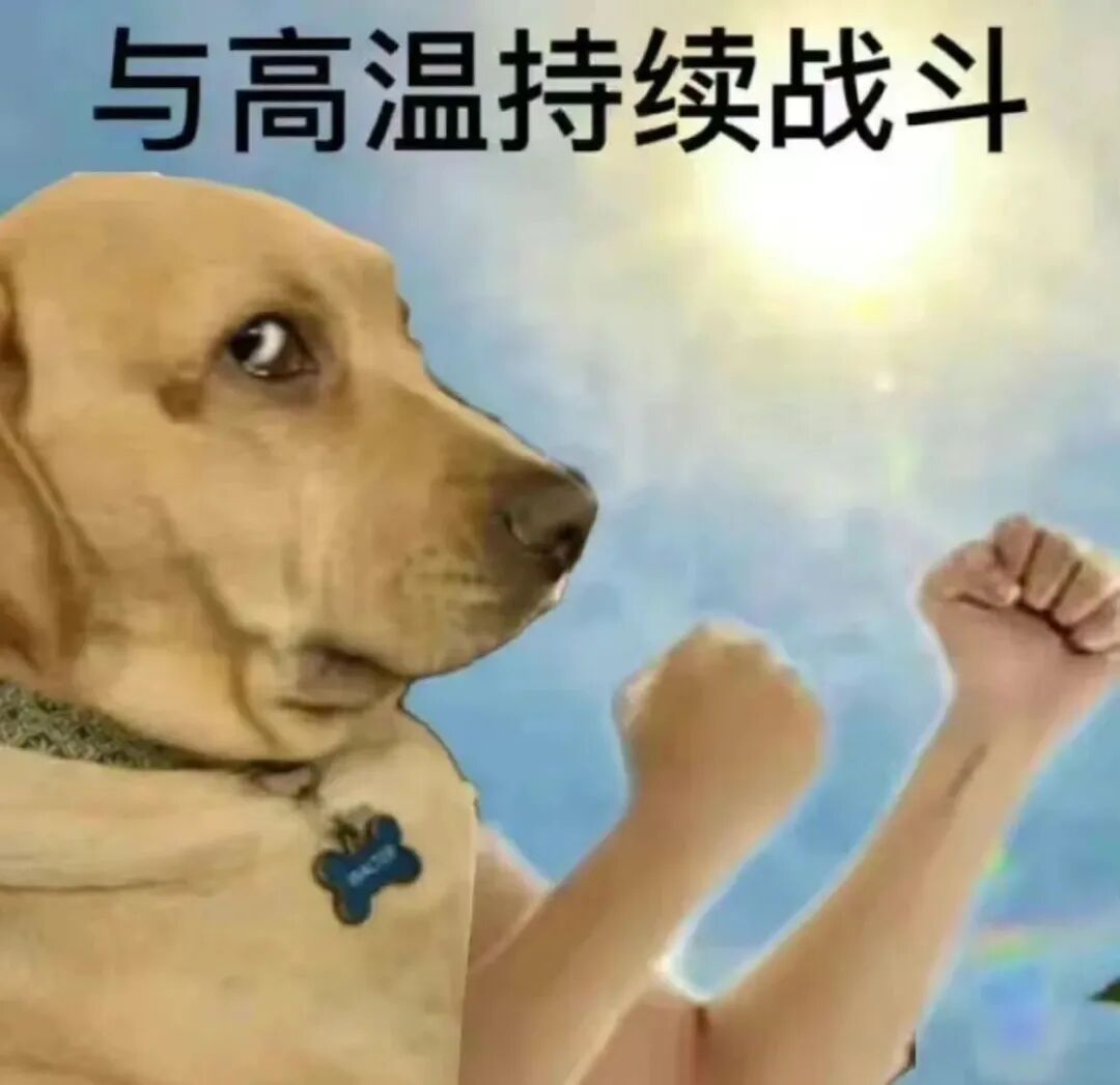 上海迎20年来最热中秋节