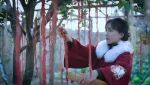 一生系列产品最后一个视频——萝卜的一生