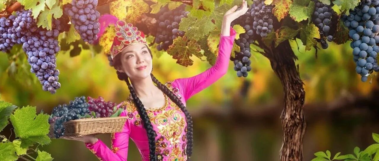 官宣!14天新疆舒适深度旅行方案!价格你都猜不到..