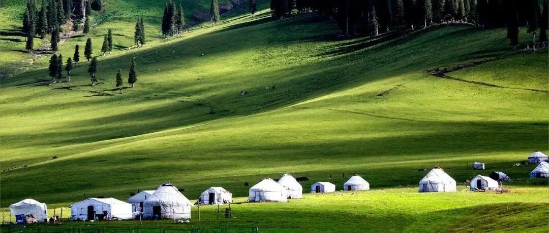 新疆有多美？到底怎么玩？快看知名主播朋友圈！