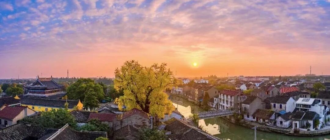 全国大闸蟹排名第一的地方，竟然还藏着......