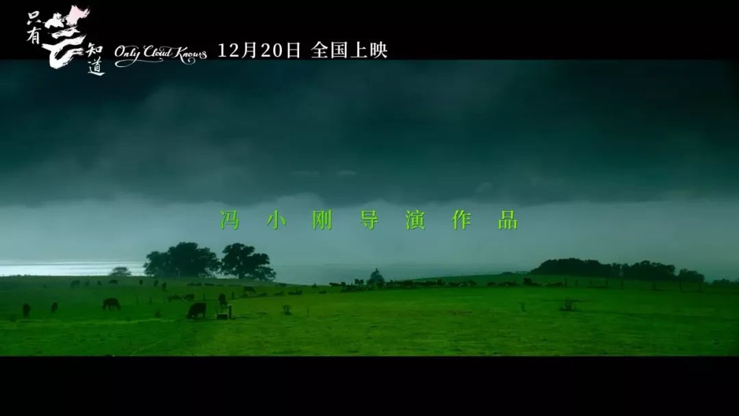 “后金鸡时代”市场侧写——最典型的中国情感故事怎么拍？(图12)