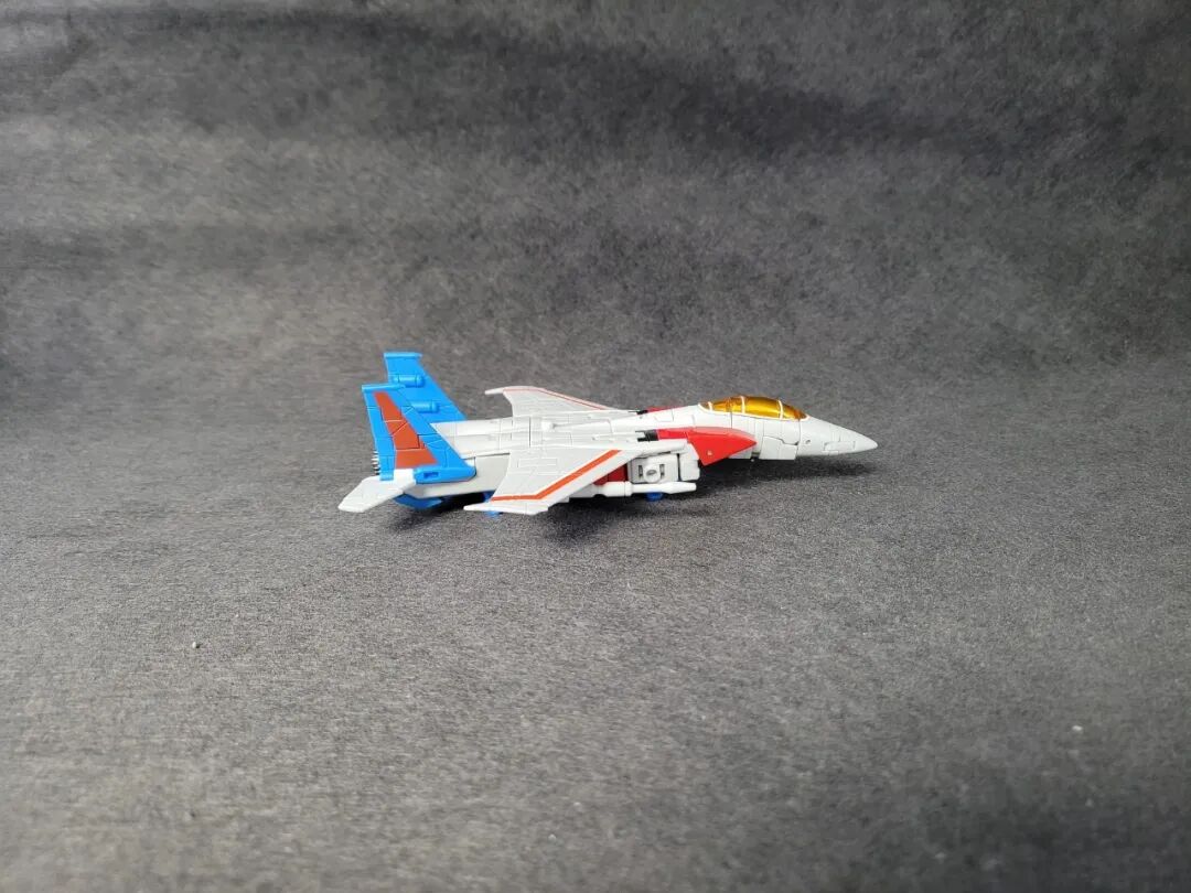 红色的小蜘蛛_红色的蜘蛛非常小_小蜘蛛红色的