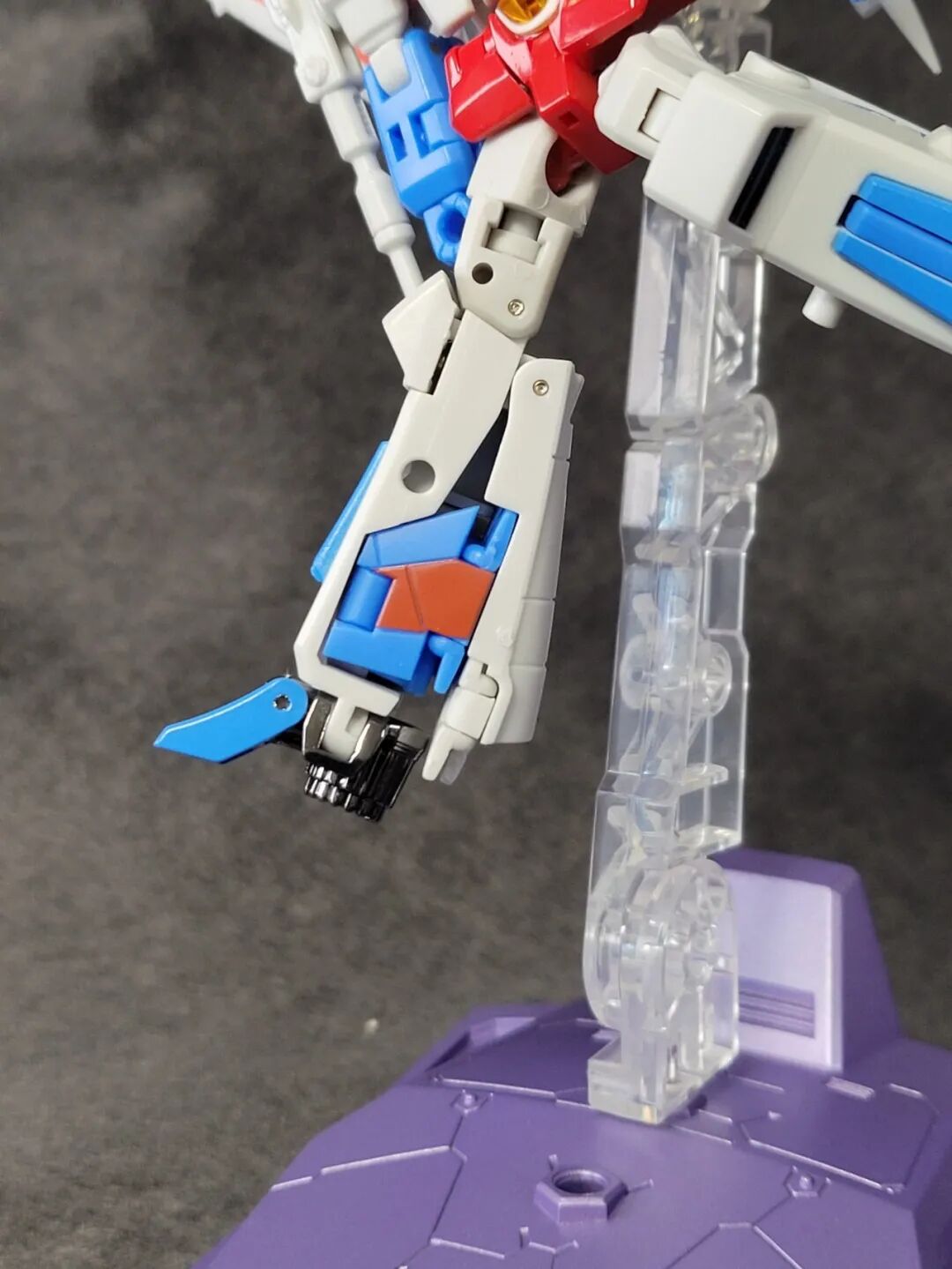 红色的小蜘蛛_小蜘蛛红色的_红色的蜘蛛非常小