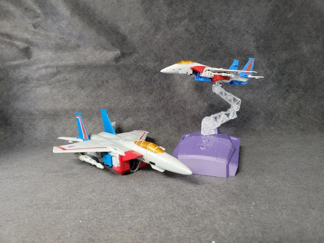 红色的小蜘蛛_小蜘蛛红色的_红色的蜘蛛非常小