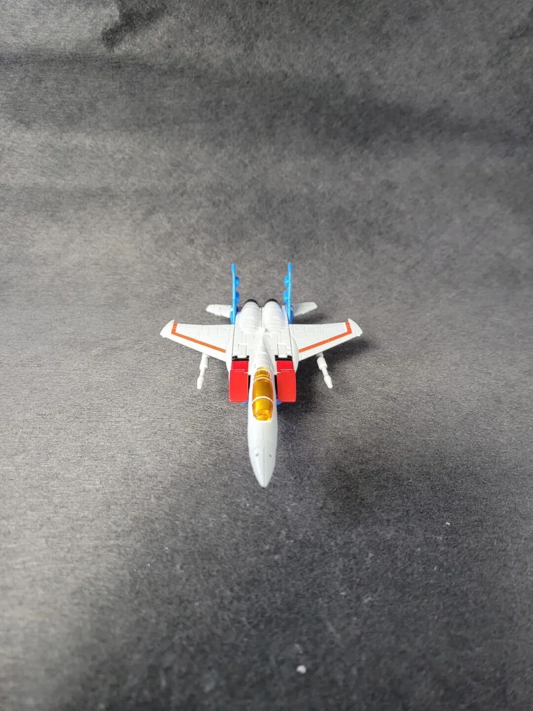 红色的蜘蛛非常小_红色的小蜘蛛_小蜘蛛红色的