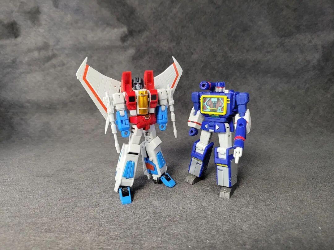 红色的蜘蛛非常小_红色的小蜘蛛_小蜘蛛红色的