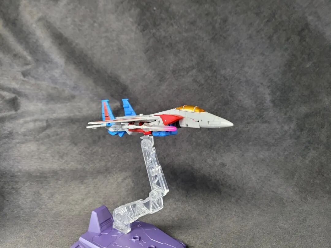 红色的蜘蛛非常小_红色的小蜘蛛_小蜘蛛红色的