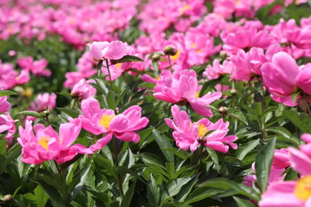 批E东华助力证监指引报告能源兴业项下首发布银行会