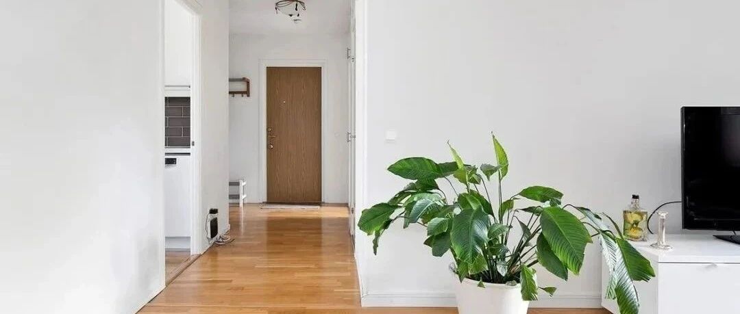 87㎡两居，纯白墙面亮色点缀，经典复古优雅，进门就被迷住了