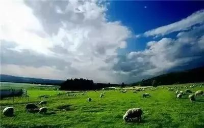 台灣自由行2019 / 全世界 「 休閒農業和鄉村旅遊 」 經典案例 ！ 旅行 第6張
