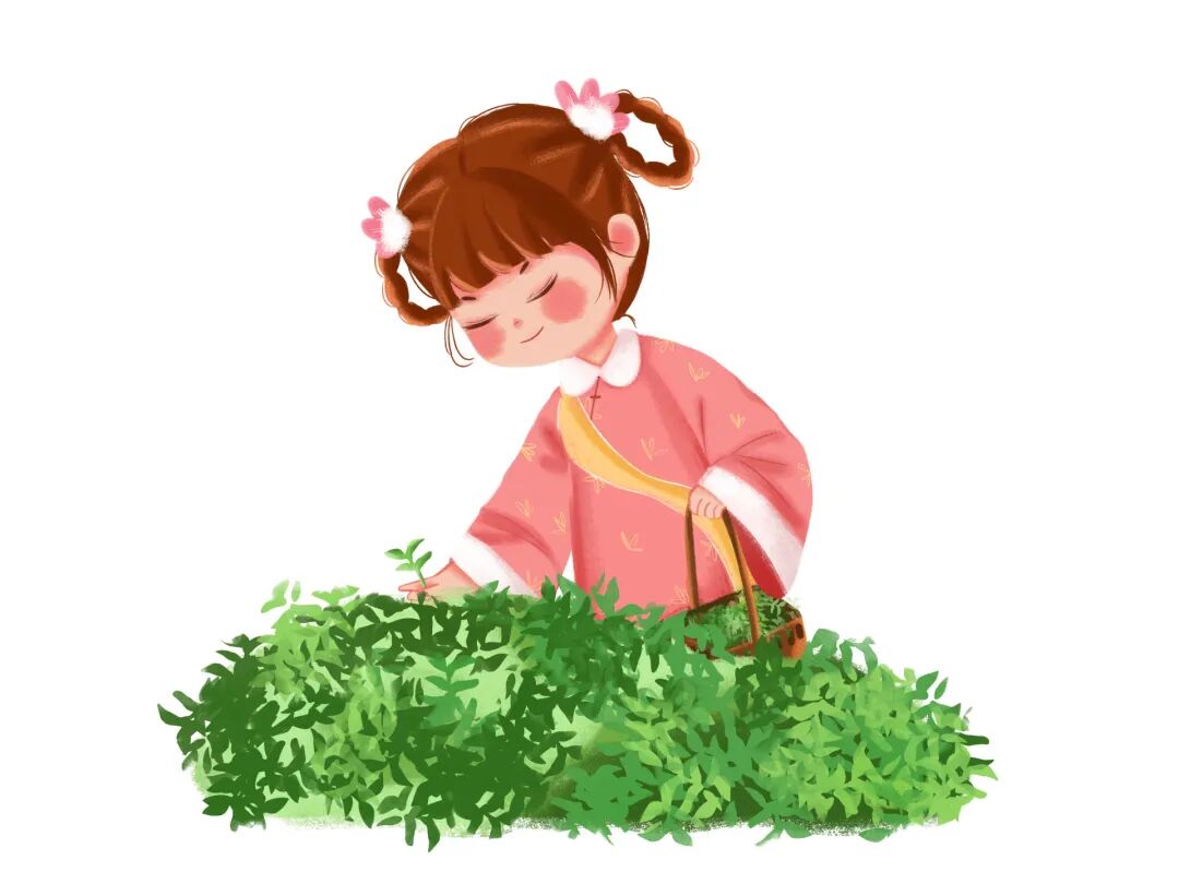 争创天府旅游名县|又到一年采茶时,华蓥茶园春色关不住!