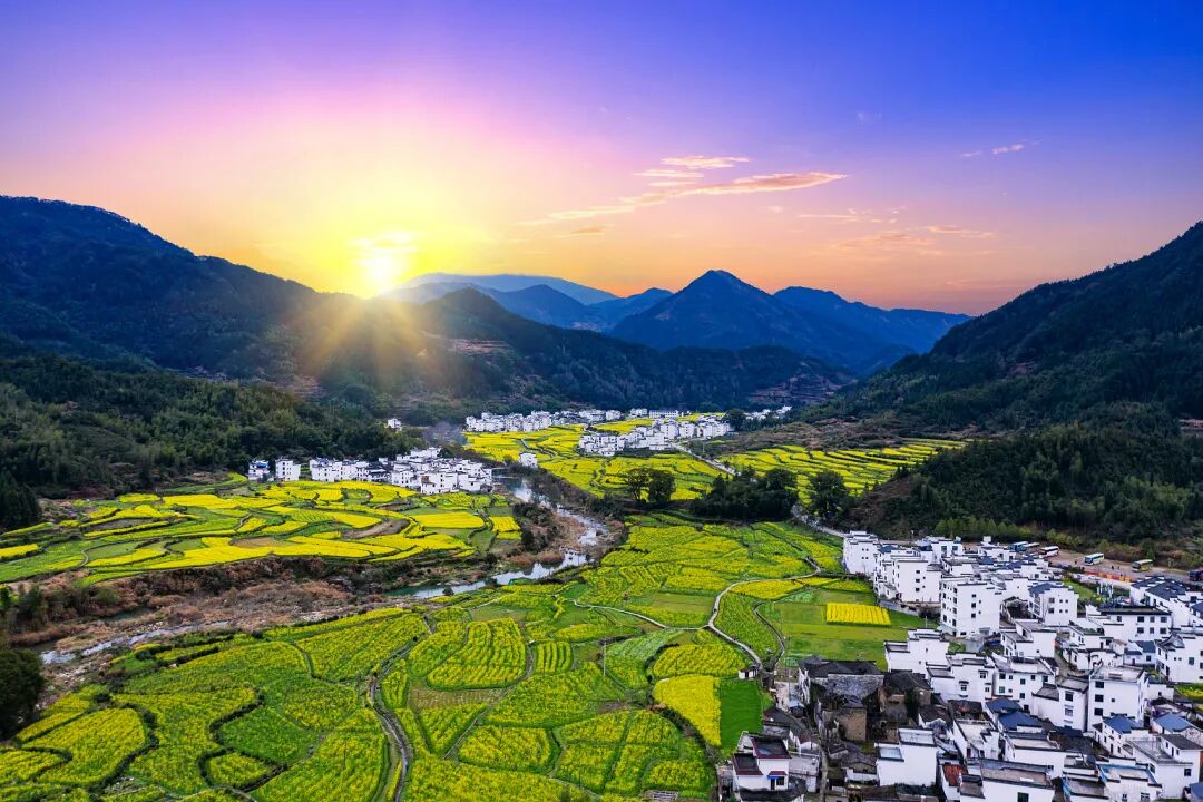 秸秆农林废弃物利用