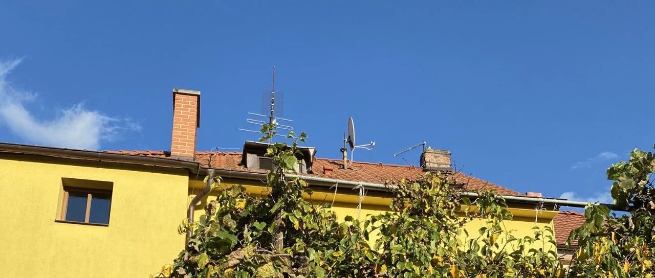 2022“找猫猫大赛”回归，逼疯40w网友：救命，我瞎了？