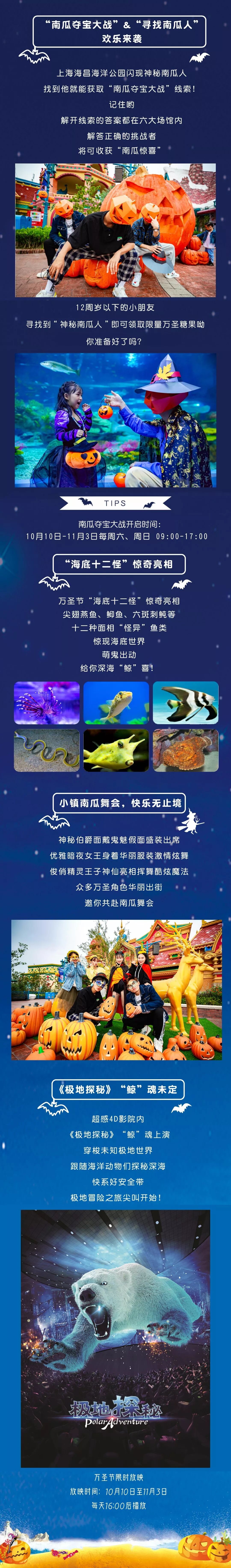 胆小勿入 鲸 魂万圣 南瓜来袭 海洋万圣狂欢季 限时特惠9 9元起 自由微信 Freewechat