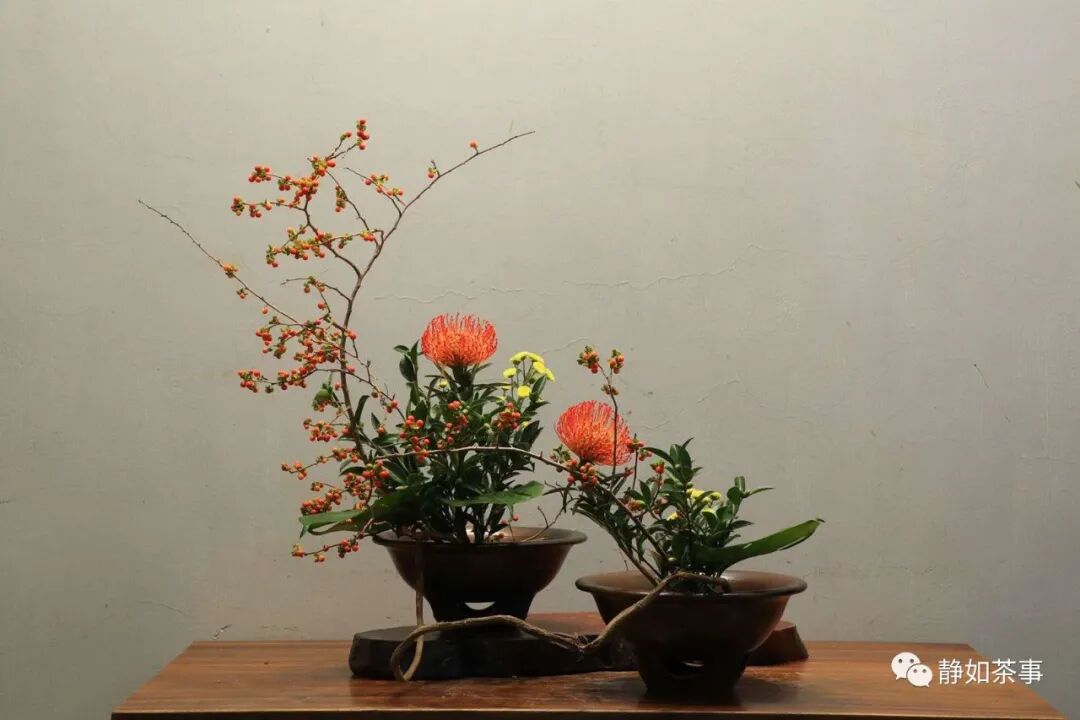 花道美學|中华花艺四大类型解析