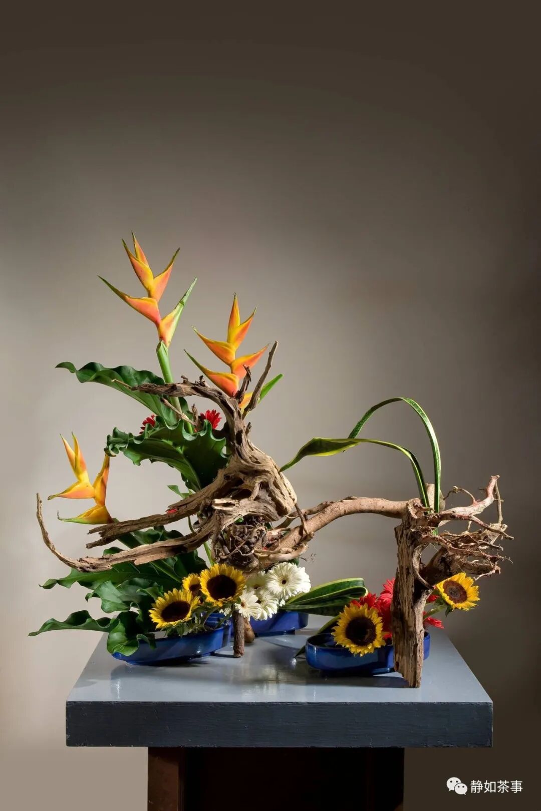 花道美學|中华花艺四大类型解析