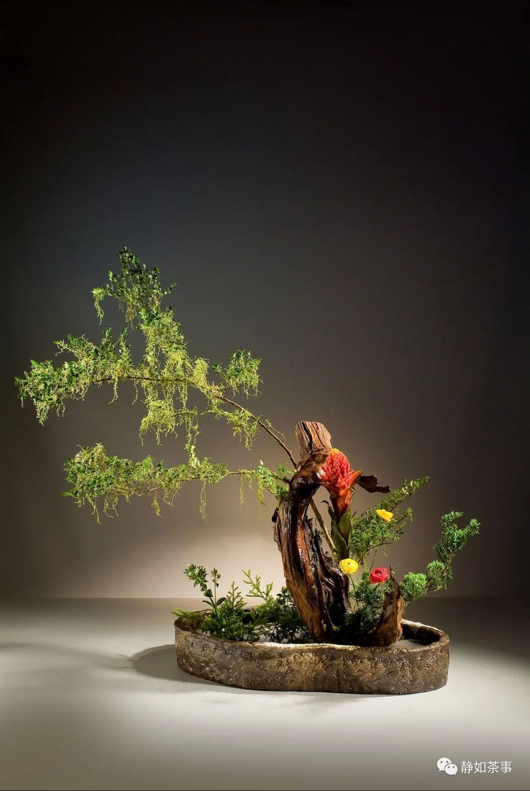 花道美學|中华花艺四大类型解析