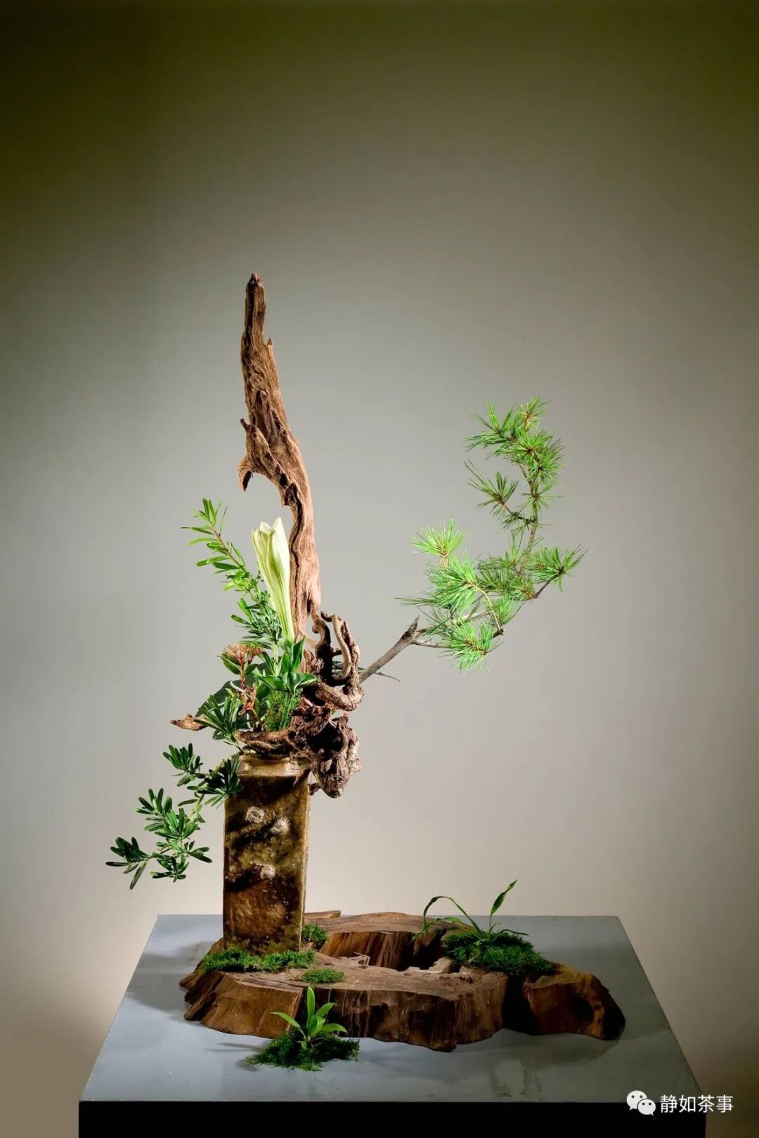 花道美學|中华花艺四大类型解析