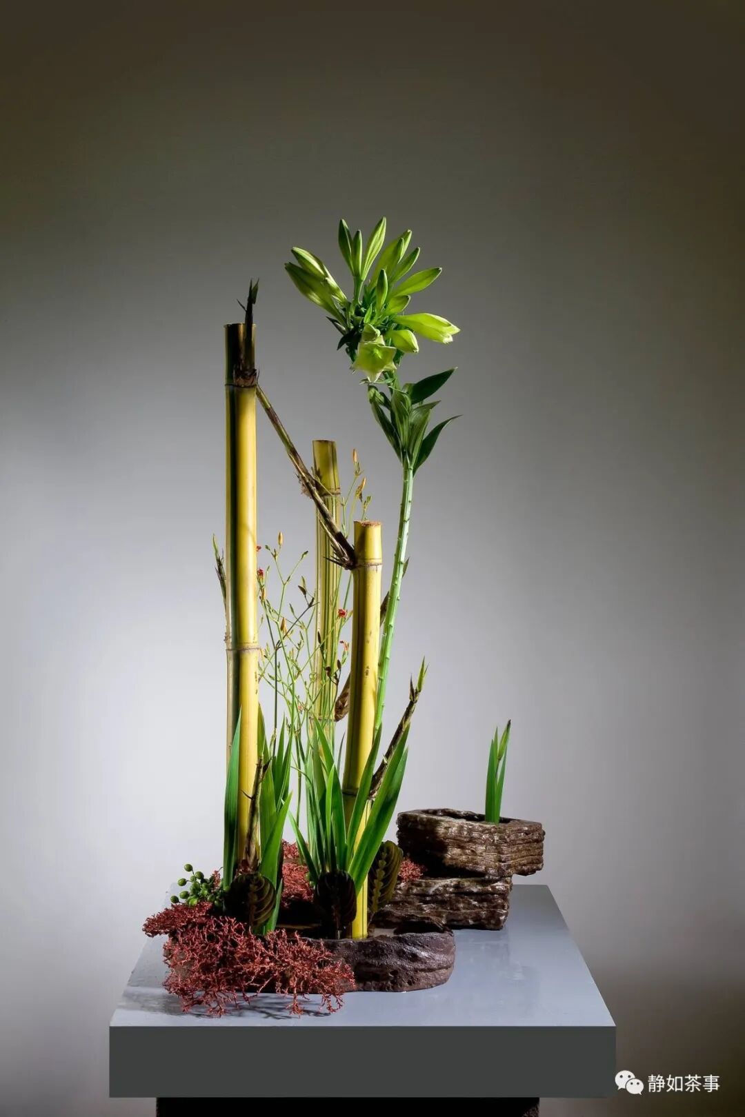 花道美學|中华花艺四大类型解析