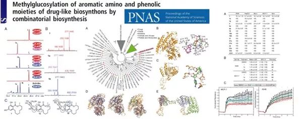 新合成生物学模块可同时提高药物先导化合物水溶性和稳定性