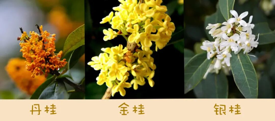 �����ɵ�ð�𣬾�����һ�������ˣ������ͷ�󵽽�