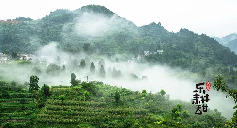 



出外景啦！翻山越岭，下田抓鸭，詹姆士只为给他做一桌好菜！
