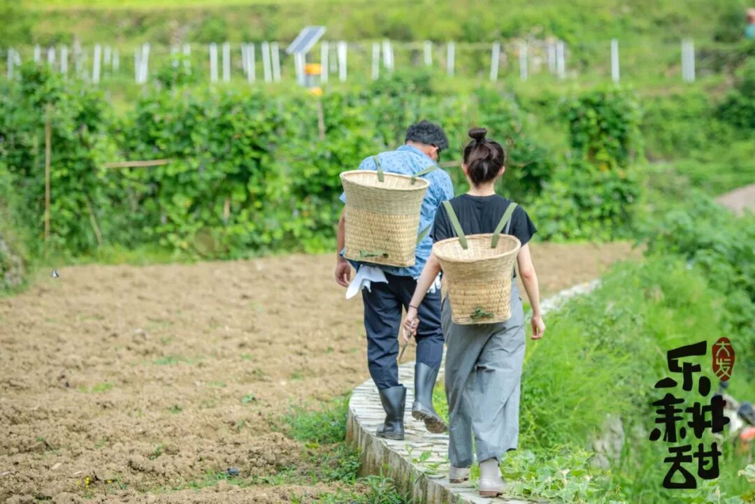 



晶晶劈柴又生火，就为了这锅喷香美味的柴火鸡～
