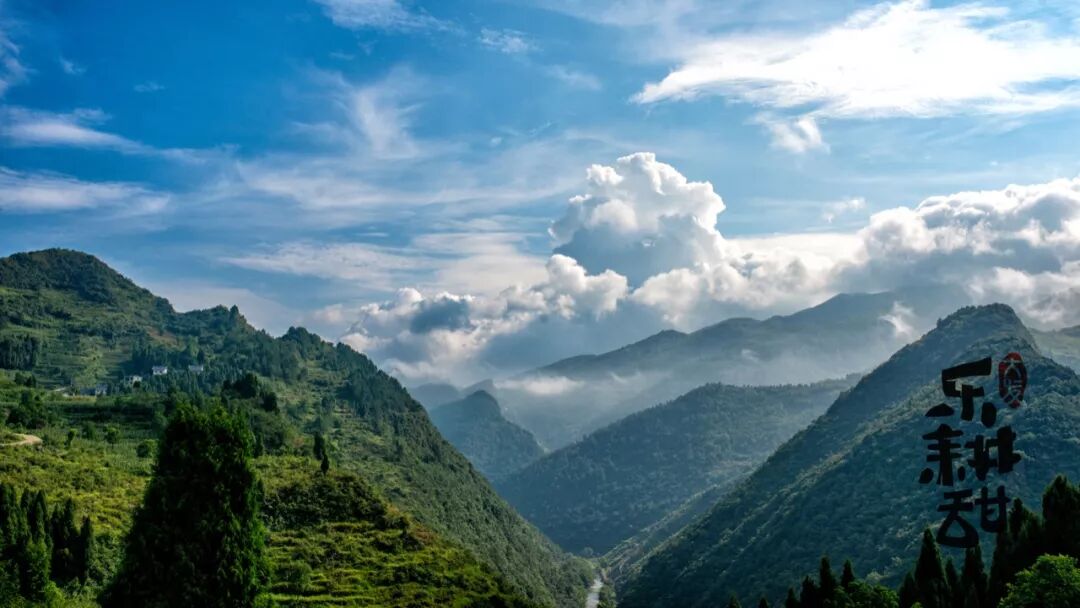 



说走就走，忘掉烦恼，共赴一场原生态的烧烤盛宴吧~
