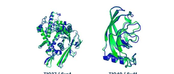 AlphaFold证明人工智能可以解决基本的科学问题