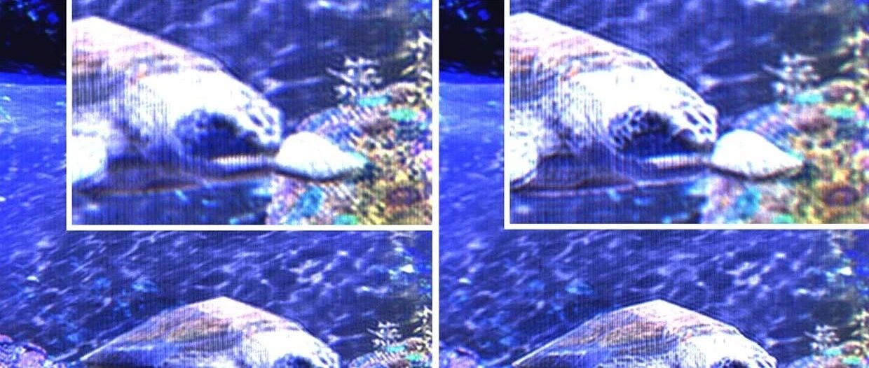 研究人员开发手机用超薄交互全息显示屏