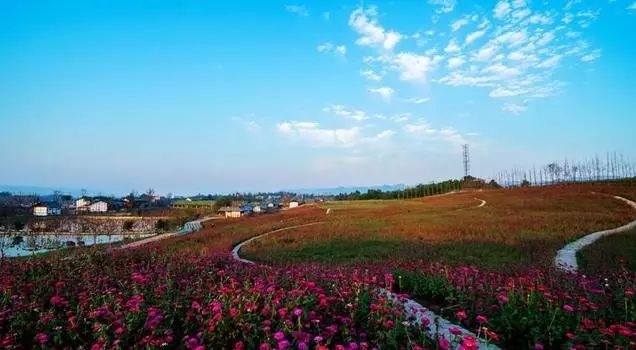 驛都花海金鳳鎮海蘭村山水田園,五彩金鳳近年來金鳳鎮彰顯出前所