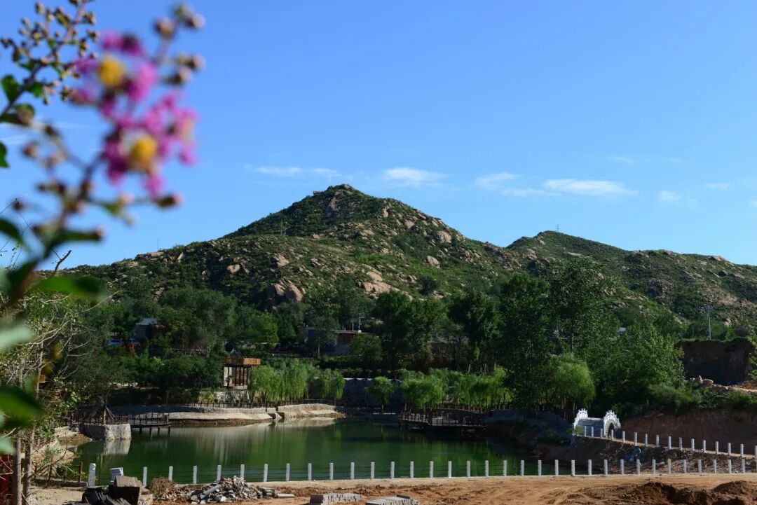 石家庄周边一日游石家庄7条休闲农业游线路带你春观花