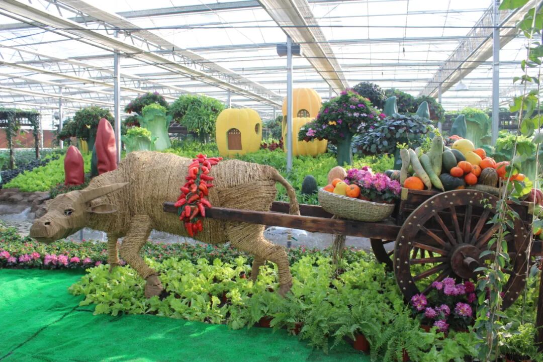 张家口市区>翠云山国际旅游度假区(银河滑雪场)>富崇裕农现代农业园区