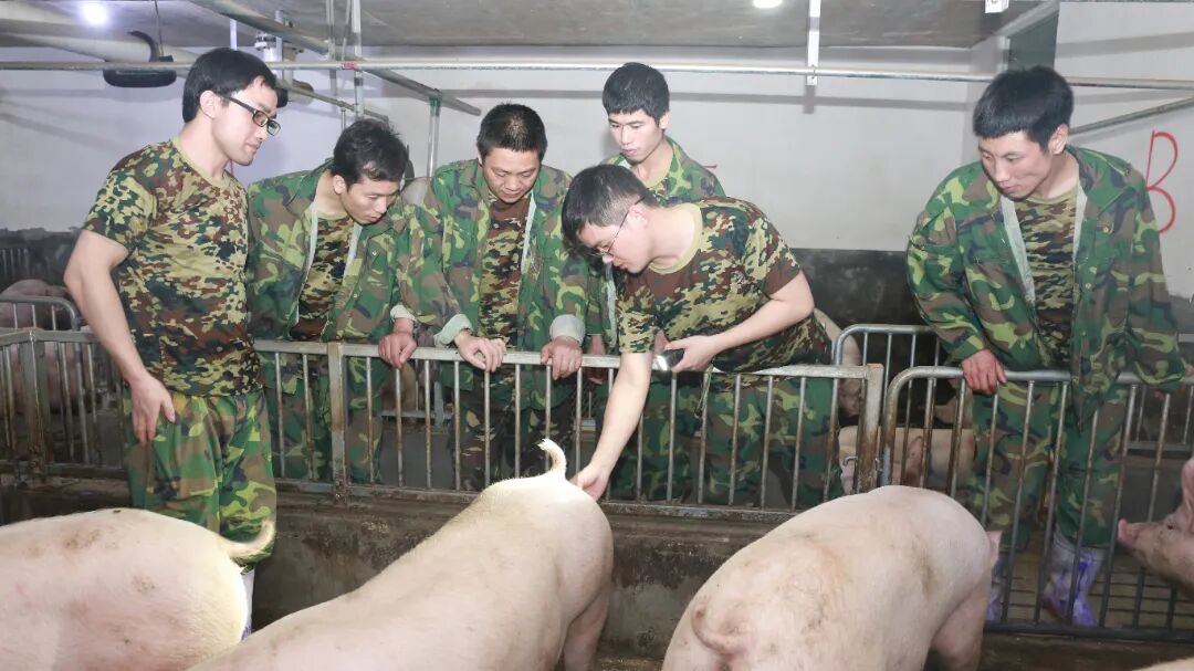 第一批在扬翔智能设施楼房猪场的大学生，已经当上场长了