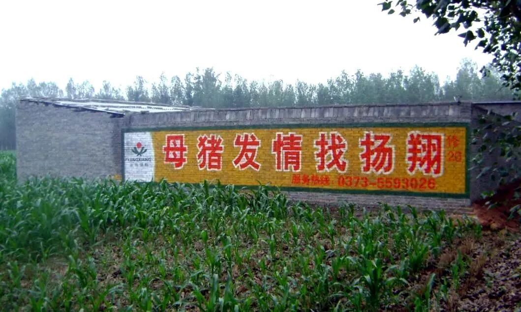 第一批在扬翔智能设施楼房猪场的大学生，已经当上场长了