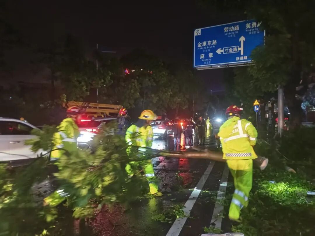 台风过境后的湛江