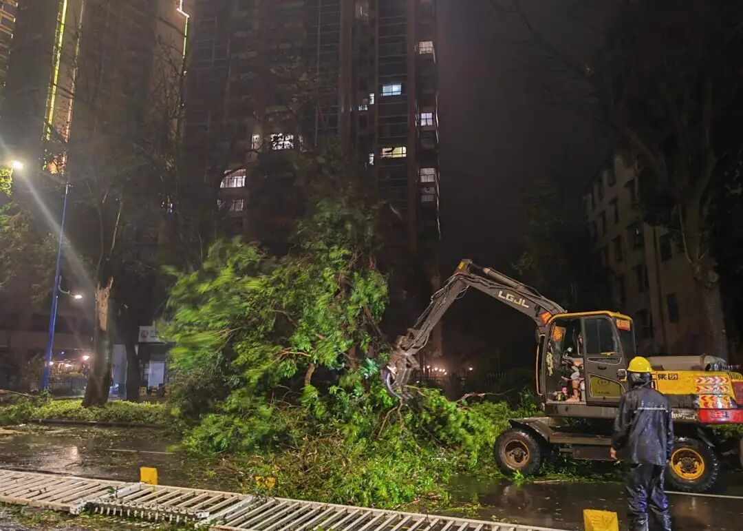 台风过境后的湛江