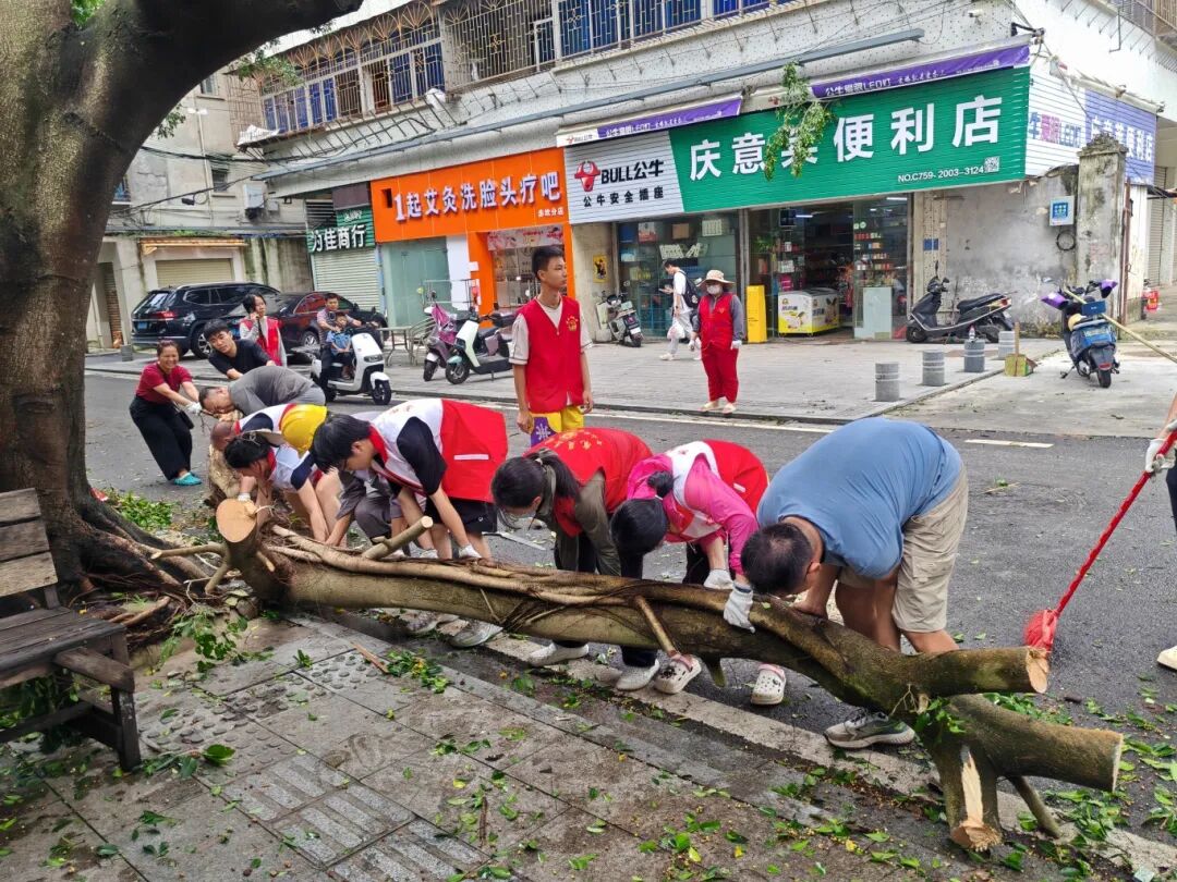 台风过境后的湛江