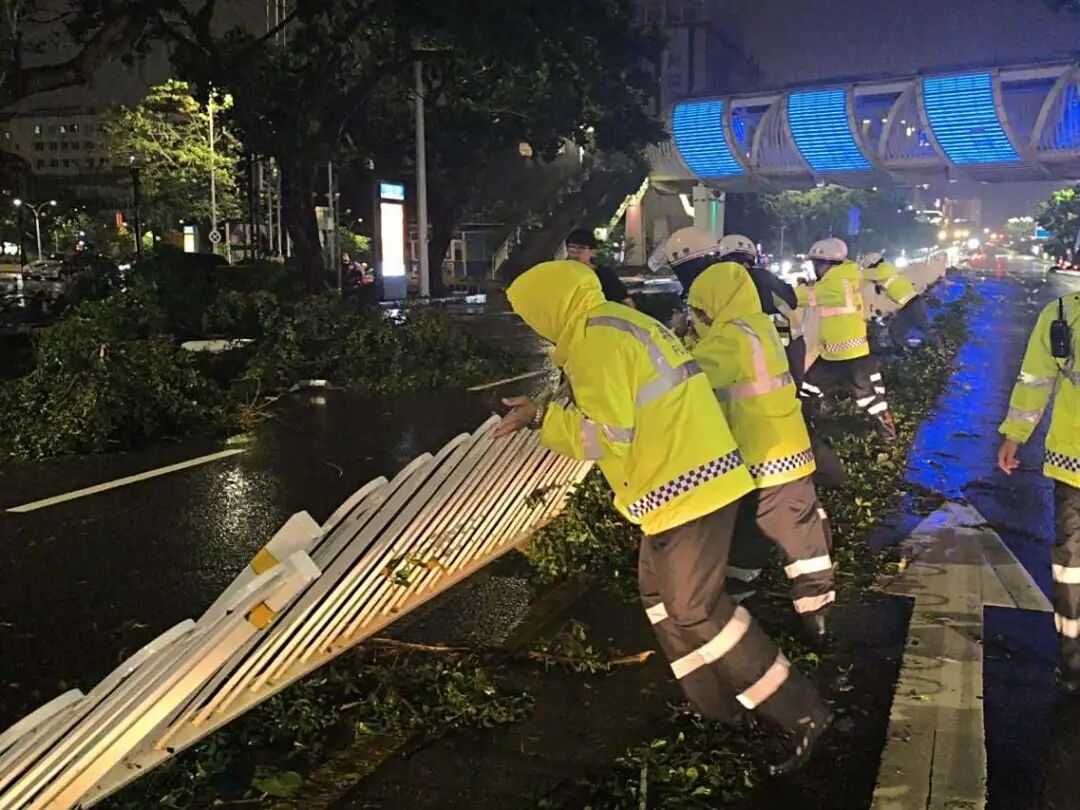 台风过境后的湛江