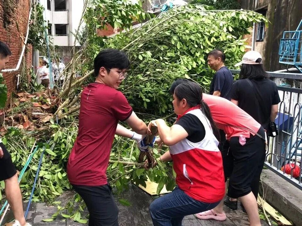 台风过境后的湛江